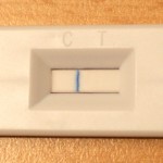 Busch Beer Gluten Test