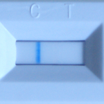 Augustiner Gluten Test