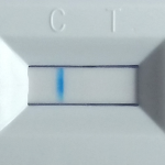 Budweiser Original Gluten Test001