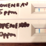 Lowenbrau Original Gluten Test